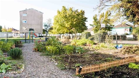 Bollwiller Des Jardins Partag S Renforcent La Coh Sion Dun Quartier