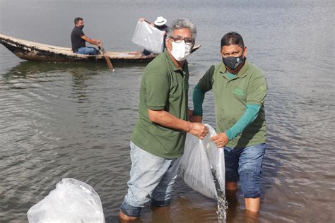 Itaitinga recebe 35 mil alevinos em águas represadas do Projeto de