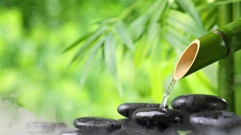 Bamboo Water Fountain Relax Get Your Zen On White Noise Youtube