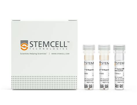 Easysep Human Nk Cell Enrichment Kit