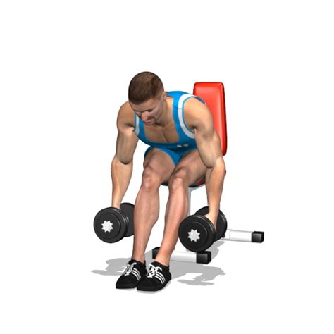 Seated Bent Over Dumbbell Reverse Fly Back To Workout