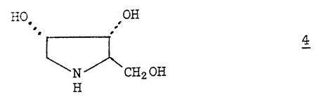 Imino Pyranoses