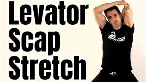 Levator Scapulae Stretch For Neck Pain Relief San Diego Chiropractic