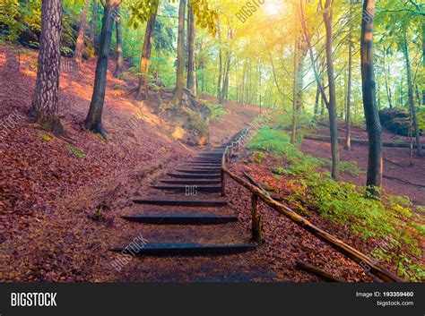 Misty Scene Mountain Image And Photo Free Trial Bigstock