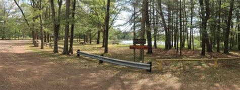 Lake Bistineau State Park - Geaux Overhead Door, Inc.