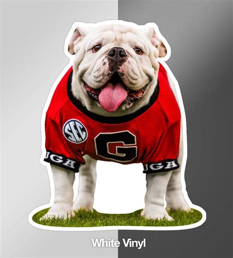 UGA Georgia Bulldogs Sticker - Uga X Mascot - 4.25" Die Cut Vinyl Phot – WRIGHT PHOTO