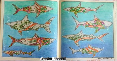 Coloridos Da Li Meilsmit On Instagram Livro De Colorir Oceano