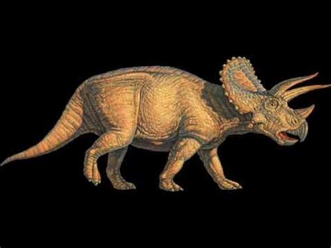 Triceratops Sounds YouTube