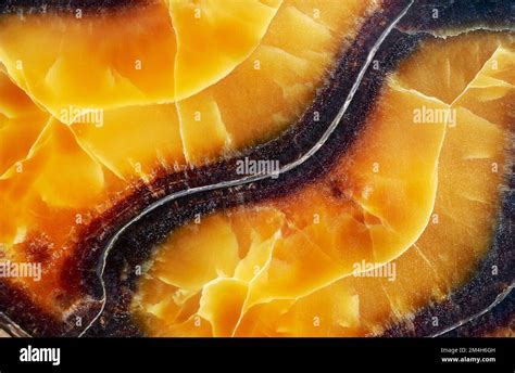 Backgrounds And Textures Surface Of Beautiful Black And Yellow