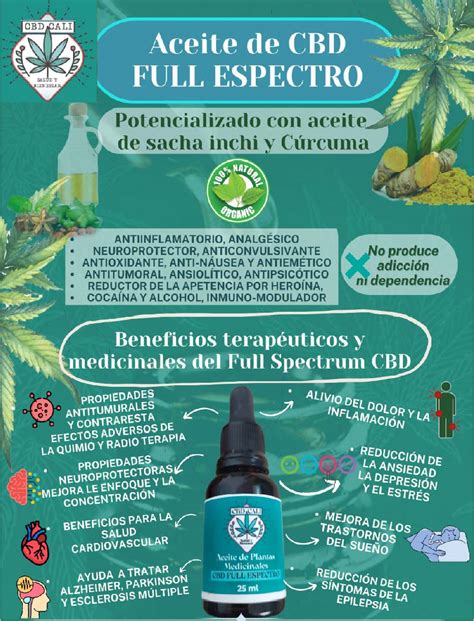 Aceite De CBD Full Espectro 30 30 Ml Con Sacha Inchi Curcuma