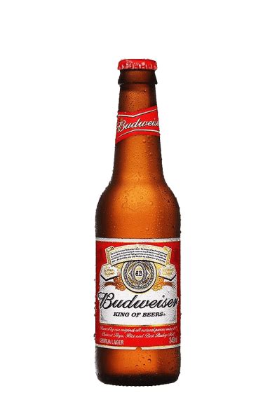 Cerveja Budweiser Long Neck 330ml Pirâmides Distribuidora De Águas