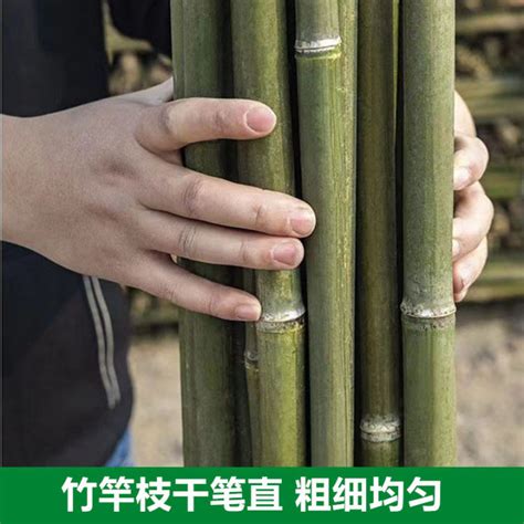 Bamboo Garden Scaffolding Outdoor Bamboo Poles For Growing Vegetables