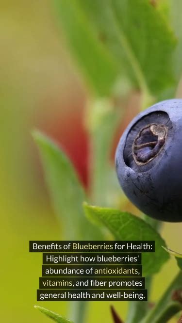 Health Benefits Of Blueberry Artofit