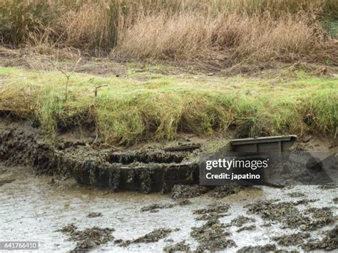 232 Sunken Deck Stock Photos High Res Pictures And Images Getty Images