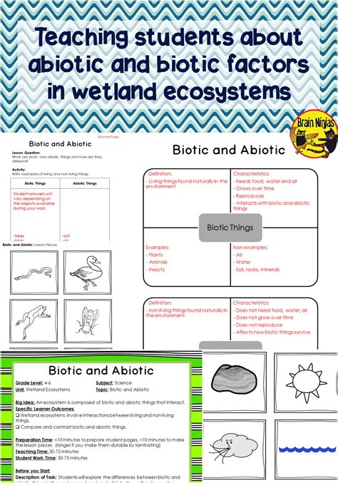 Th Grade Ecosystems Worksheet