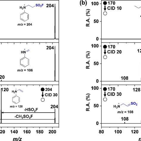 Tandem Mass MS MS Spectra Of The Mass Selected Aza Michael Addition