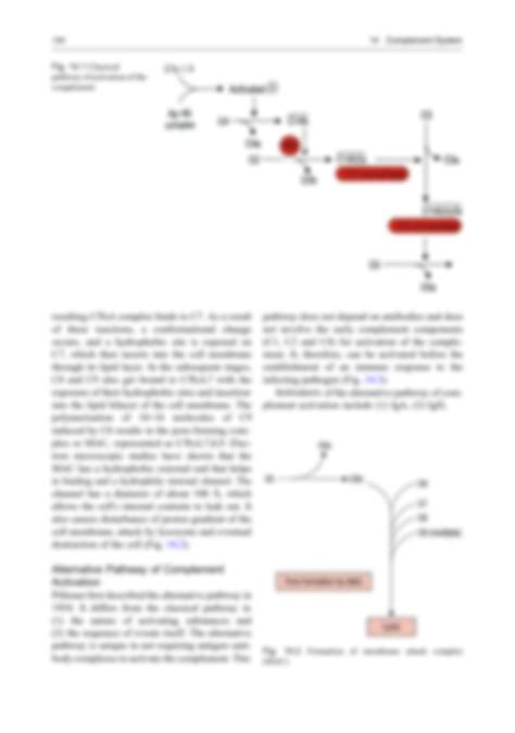 Solution Microbiology And Immunology Complement System Studypool