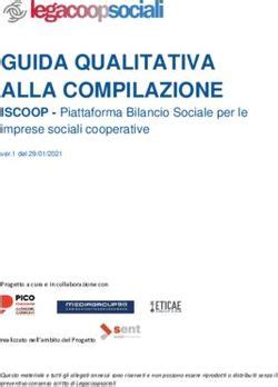 Guida Qualitativa Alla Compilazione Iscoop Piattaforma Bilancio