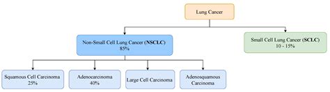 Clinical Pathway For Lung Cancer Encyclopedia Mdpi