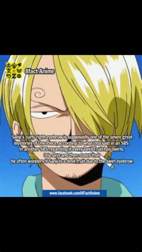 One Piece Facts Anime Amino