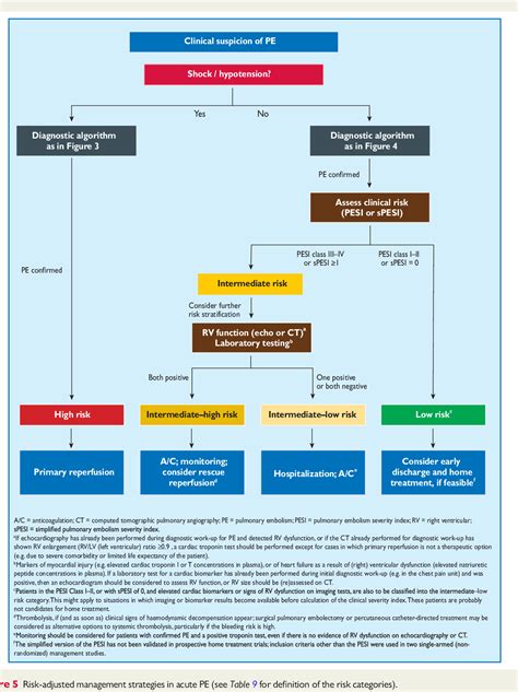 Pulmonary Embolism Treatment Algorithm