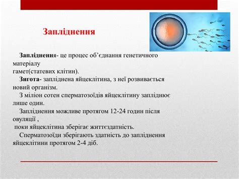 Будова і функції репродуктивної системи людини.