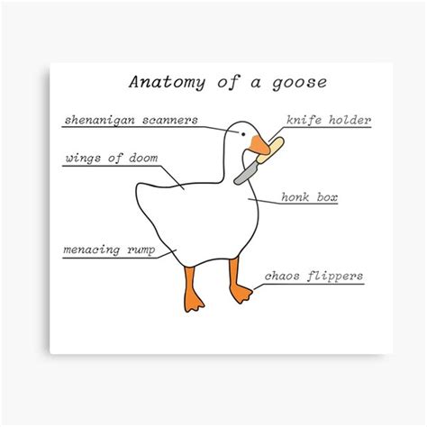 "Anatomy Of A Goose | Untitled Goose Game" Metal Print by FennecLoaf | Redbubble