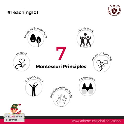 Top 7 Principles Of Montessori Education Atheneum Global