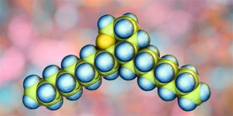 Biomoléculas Conceito Tipos Funções E Importância