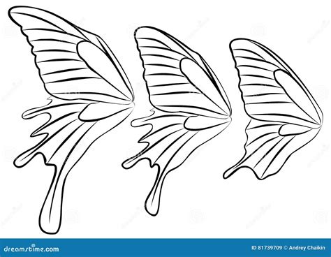 Alas De La Mariposa Ilustraci N Del Vector Ilustraci N De Mariposas