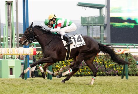 ポルカリズムが中団から差し切りデビュー勝ち 津村騎手「返し馬からいいフットワーク」／新馬戦 3歳馬特集 競馬写真ニュース 日刊スポーツ