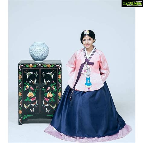 Anaswara Kumar Instagram Wore A Lovely Hanbok The Traditional