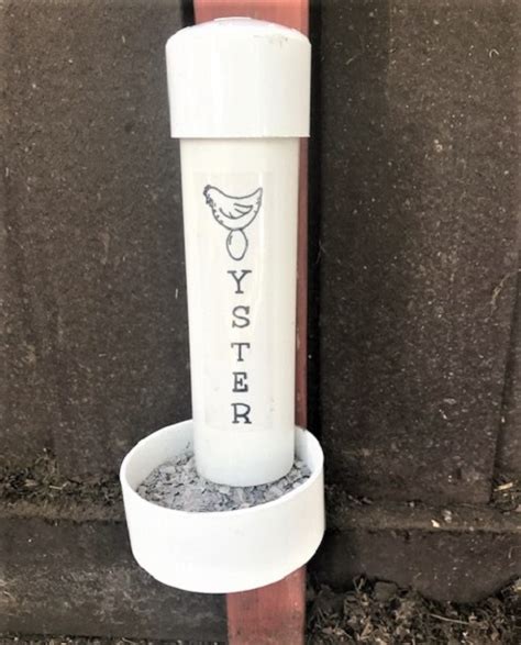 Automatic Oyster Shell Feeder Revolutionary Chicken