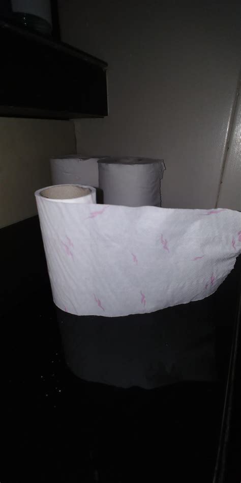 Toilet Paper At My Hotel In Malta Made Me Think I Was Bleeding R