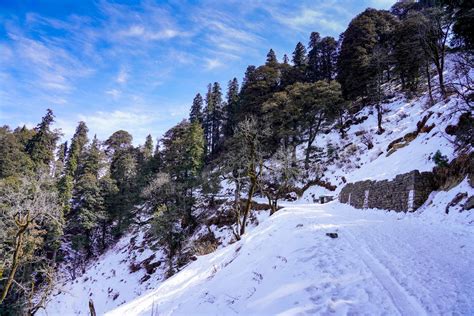 Hatu Peak Trek Narkanda Treks And Trails India