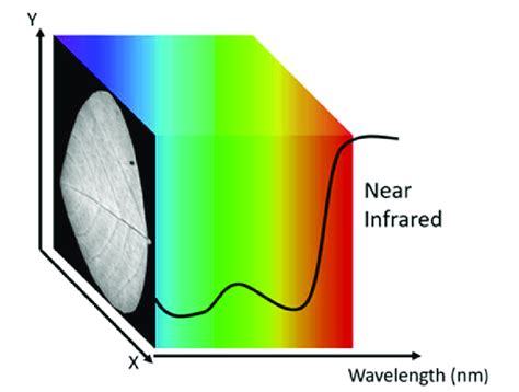 A Visual Illustration Of A Hyperspectral Image Cube Hypercube The Download Scientific