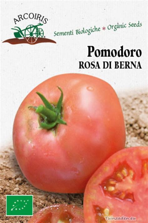 Pomodoro Berner Rose Tomaten Bio Zaden Tomaten Kopen Tuinzaden Eu