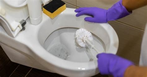 How To Use A Toilet Brush For Septic