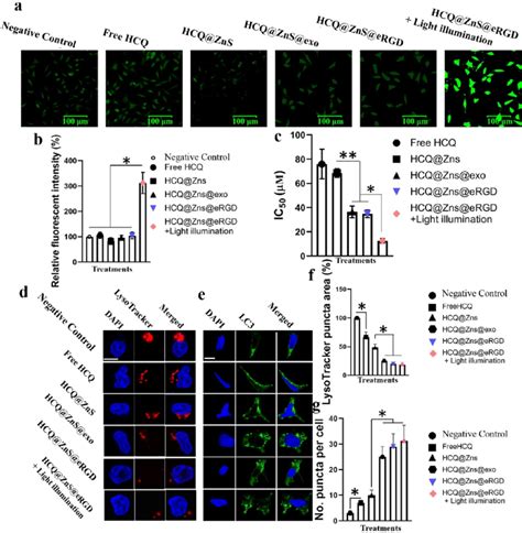 Ros Production And Autophagic Flux Blockage In U Cells After