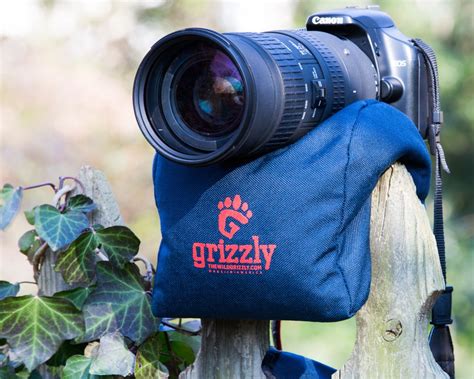 Grizzly Camera Bean Bag (Medium-Blue), Photography Bean Bag, Video Bean ...