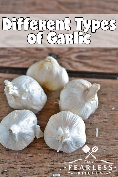 Types of Garlic - My Fearless Kitchen