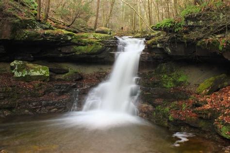 Free Picture Water Waterfall Forest Moss Ecology Stream River