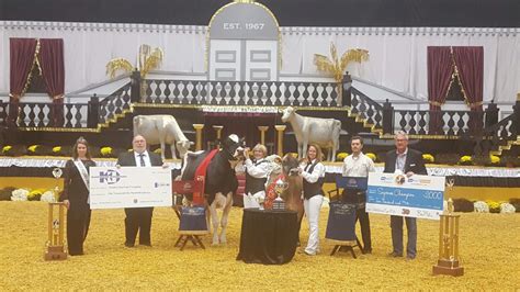 World Dairy Expo Supreme Champion Results Mid West Farm Report