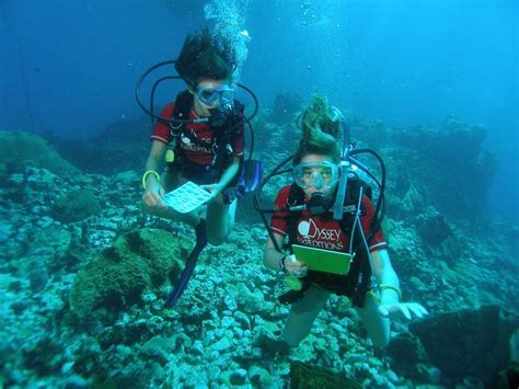 Erg Mooie Duiken Leuk Buceo