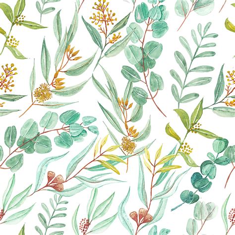 Watercolor Eucalyptus Leaves Vector Hd Png Images Seamless Pattern Of