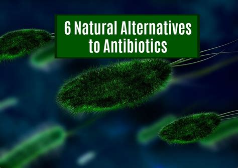 6 Natural Alternatives To Antibiotics Health Before Its News