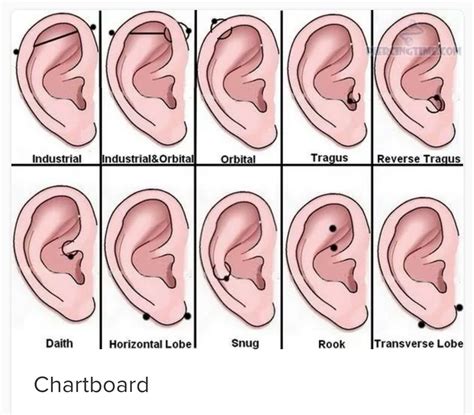 Ear Piercing Template