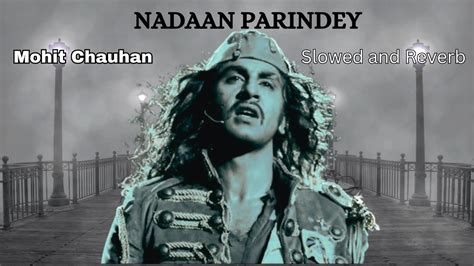 Nadaan Parindey Slowed Reverb Mohit Chauhan A R Rahman