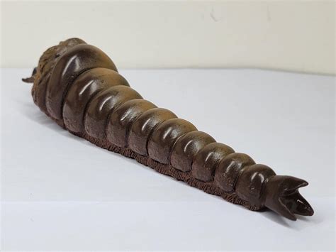 Mothra Larva Kaiju 1991 Godzilla Vs Mothra Toho Bandai The Collection