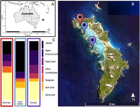 Frontiers Identification Of Coral Disease Within The High Latitude